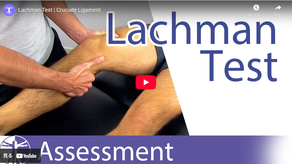 スクリーンショット 2025 11 03 172649